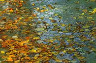 herfst op het water van Yvonne Blokland thumbnail
