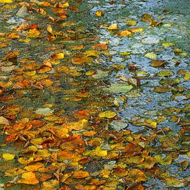 Herbst auf dem Wasser von Yvonne Blokland