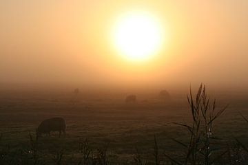 Goedemorgen. van Jan Mulder