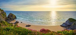 Cornish Horizont