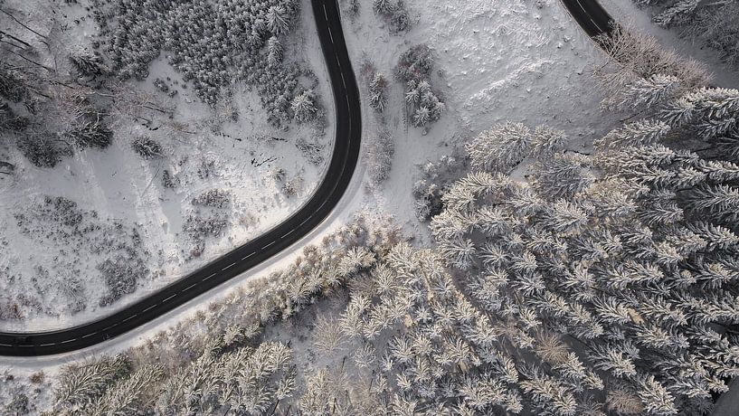 Image de drone d'un paysage forestier enneigé par Adrian Meixner
