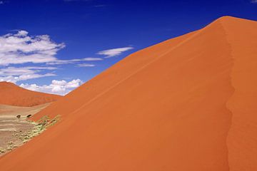 Dunes of Namibia by W. Woyke