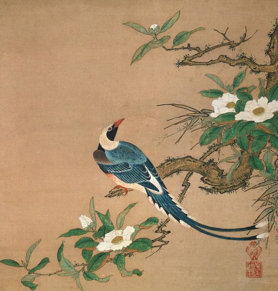 Vogel mit langen Schwanzfedern, Kano Yosetsu von Meisterhafte Meister