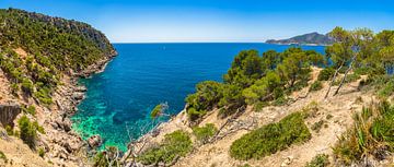 Panoramisch uitzicht op de kust natuur zeegezicht van Sant Elm op Mallorca, Middellandse Zee van Alex Winter