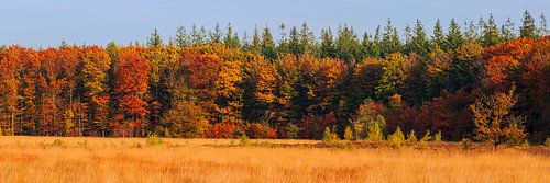 Herfst in Drenthe