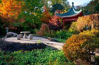 Japanse tuin