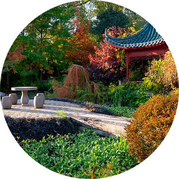 Japanse tuin van Hans Huys