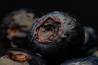 fresh blueberry