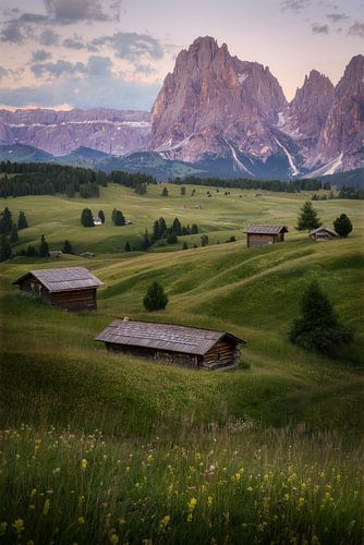 Seiser Alm during sunset ganga