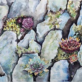 Watercolour of a rock garden by W J Kok