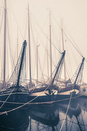 Brown Fleet in the Mist – Tallships Kampen