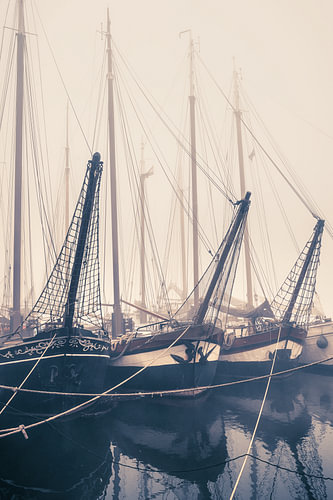 Brown Fleet in the Mist – Tallships Kampen