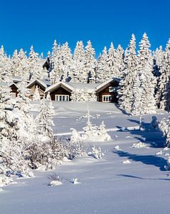 Chalets dans la neige à Hafjell en Norvège