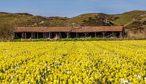 Schuur Rommelpot Texel van Texel360Fotografie Richard Heerschap