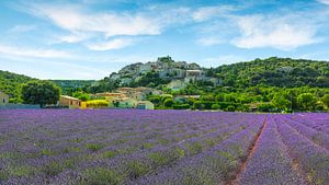 Lavendelfeld und das Dorf Simiane la Rotonde, Provence