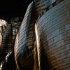 Guggenheim Bilbao dunkel von Erwin Blekkenhorst