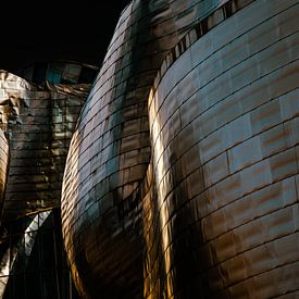 Guggenheim Bilbao dark by Erwin Blekkenhorst