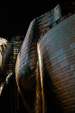 Guggenheim Bilbao donker van Erwin Blekkenhorst