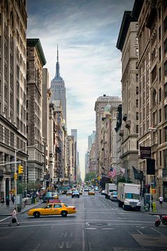 NEW YORK CITY 5th Avenue by Melanie Viola