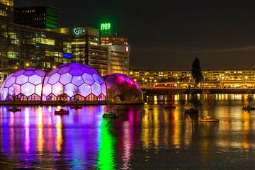 De prachtige bollen van Rotterdam van Petra Brouwer