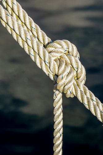 Knoten von Dieter Walther