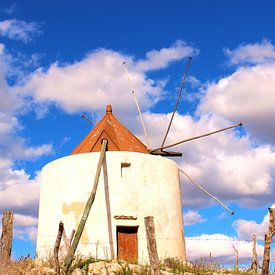 Molino de Vejer de la Frontera, Windmolen van Vejer de la Frontera van Anton Pronk