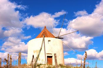 Molino de Vejer de la Frontera, Windmolen van Vejer de la Frontera