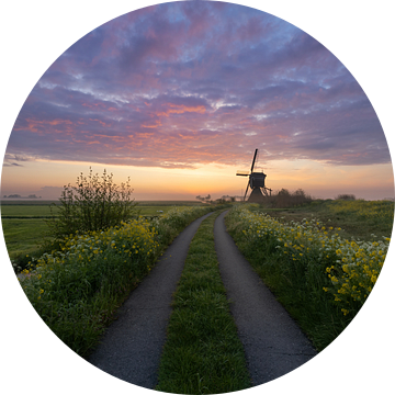 Broekmolen in de lente