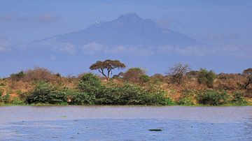 View of Kilimanjaro in Kenya by Aagje de Jong