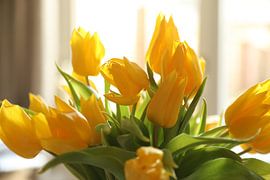 Tulpen von Wendy Bierings