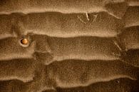 Tracks in the sand, Spiekeroog, Lower Saxony by Peter Schickert thumbnail