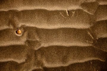 Sporen in het zand, Spiekeroog, Nedersaksen van Peter Schickert