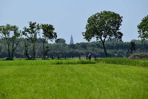 Walkers on a warm summer’s day