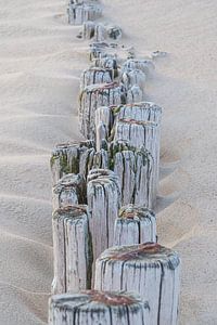 Der Strand: Wellenbrecher im Cadzand-Sand