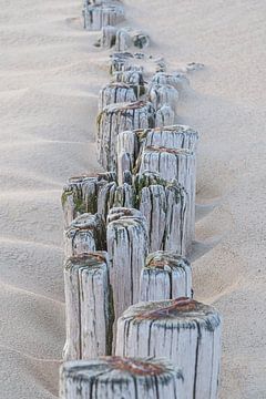Het strand: Golfbrekers in het zand van Cadzand van Marjolijn van den Berg