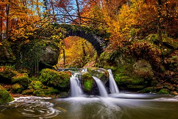 Autumn in the Mullerthal - Shooting Pond by Dieter Meyrl