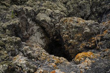 The maw by Michael Köhler