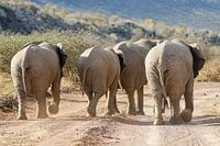 Wir haben Vorfahrt - we have right of way