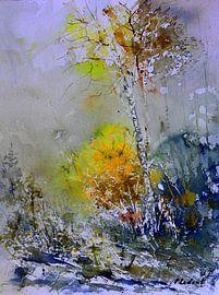 Spring in the wood by pol ledent