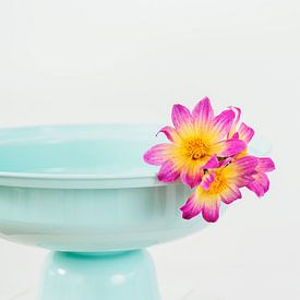 Türkisfarbene Schale mit Blumen von What I C