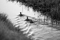 A meeting in silence