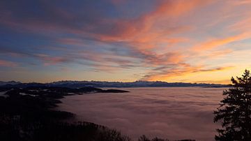 Alps Above The Sea Of Clouds