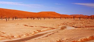 Deadvlei Namibia van W. Woyke