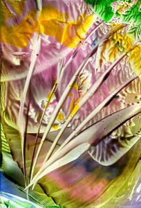 Mindful Colors 22