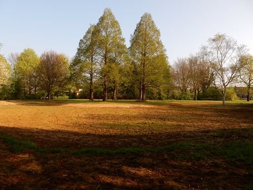 parc en automne