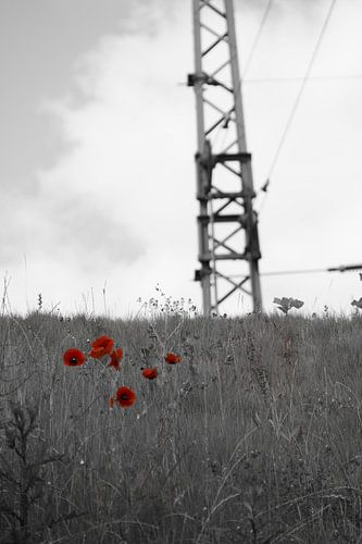 Red Resistance – Technology and Nature in Contrast