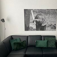 Klantfoto: Dichtbij, Bjoern Alicke van 1x, op canvas