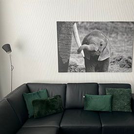 Klantfoto: Sluit van Bjoern Alicke, op canvas