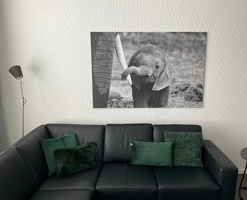 Customer photo: Close, Bjoern Alicke by 1x