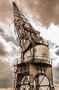 golden harbour crane by Koen Ceusters thumbnail